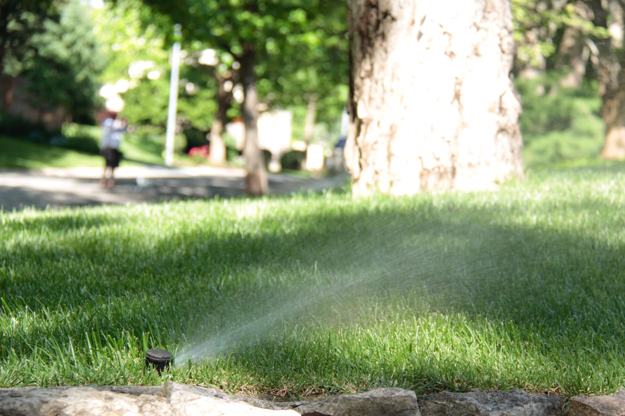 Book Your Sprinkler Installation this Fall!