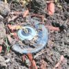 Clogged sprinkler head.