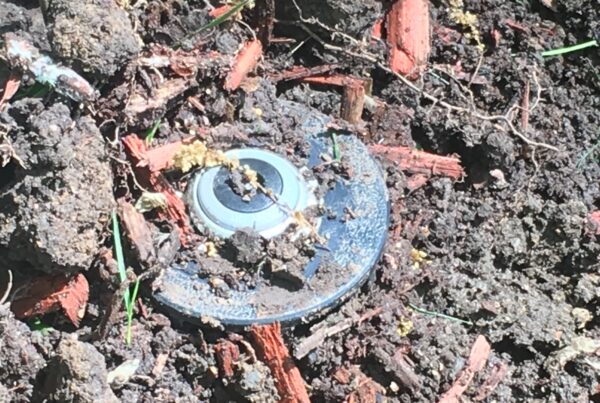 Clogged sprinkler head.