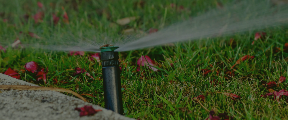 5 FAQs About Automated Sprinkler Systems