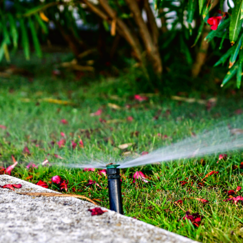 5 FAQs About Automated Sprinkler Systems Heinen Landscape & Irrigation