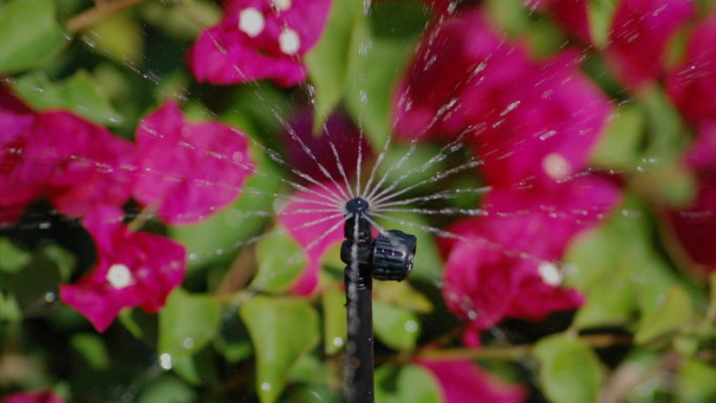 The Best Sprinkler Heads for Beds, Gardens, and Shrubs