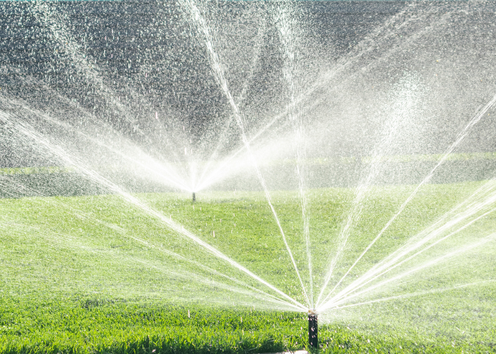 Why Sprinkler Systems Need to Be Winterized