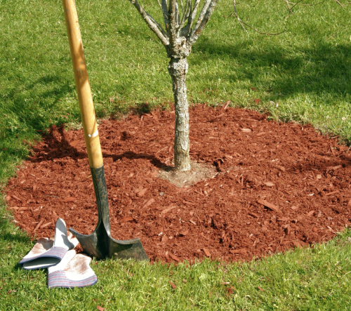 Heinen Landscape Best Lawn Care Tips Mulch Around Trees