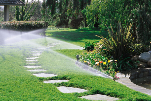 Heinen Landscape and Irrigation Best Lawn Irrigation Systems for Summer